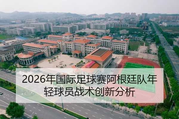 2026年国际足球赛阿根廷队年轻球员战术创新分析