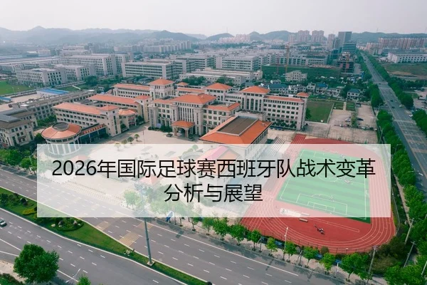 2026年国际足球赛西班牙队战术变革分析与展望