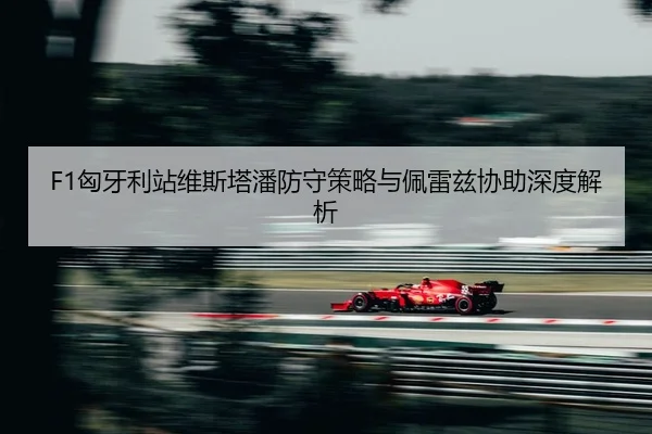 xiong-ya-li-zhan-wei-si-ta-pan-fang-shou-ce-lve-yu-pei-lei-zi-xie-zhu-shen-du-jie-xi-2-238.jpg