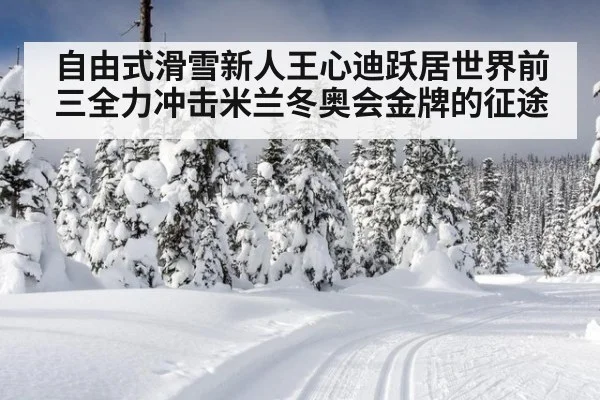 自由式滑雪新人王心迪跃居世界前三全力冲击米兰冬奥会金牌的征途