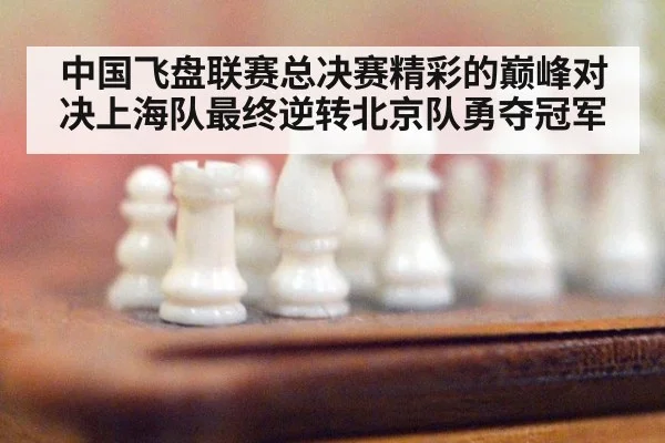 中国飞盘联赛总决赛精彩的巅峰对决上海队最终逆转北京队勇夺冠军